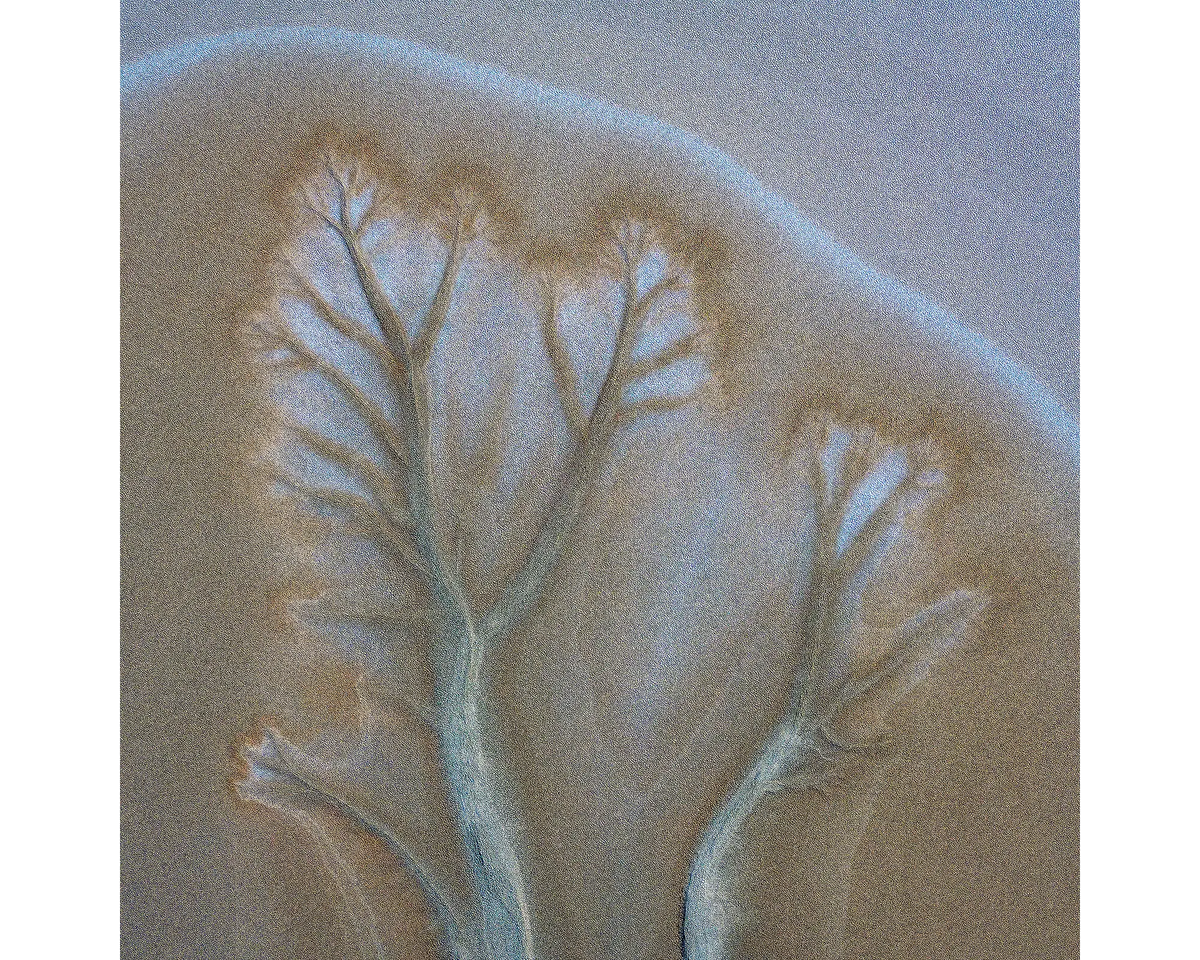 Aerial view of tidal patterns in mud flats, Cambridge Gulf, the Kimberley, WA. 