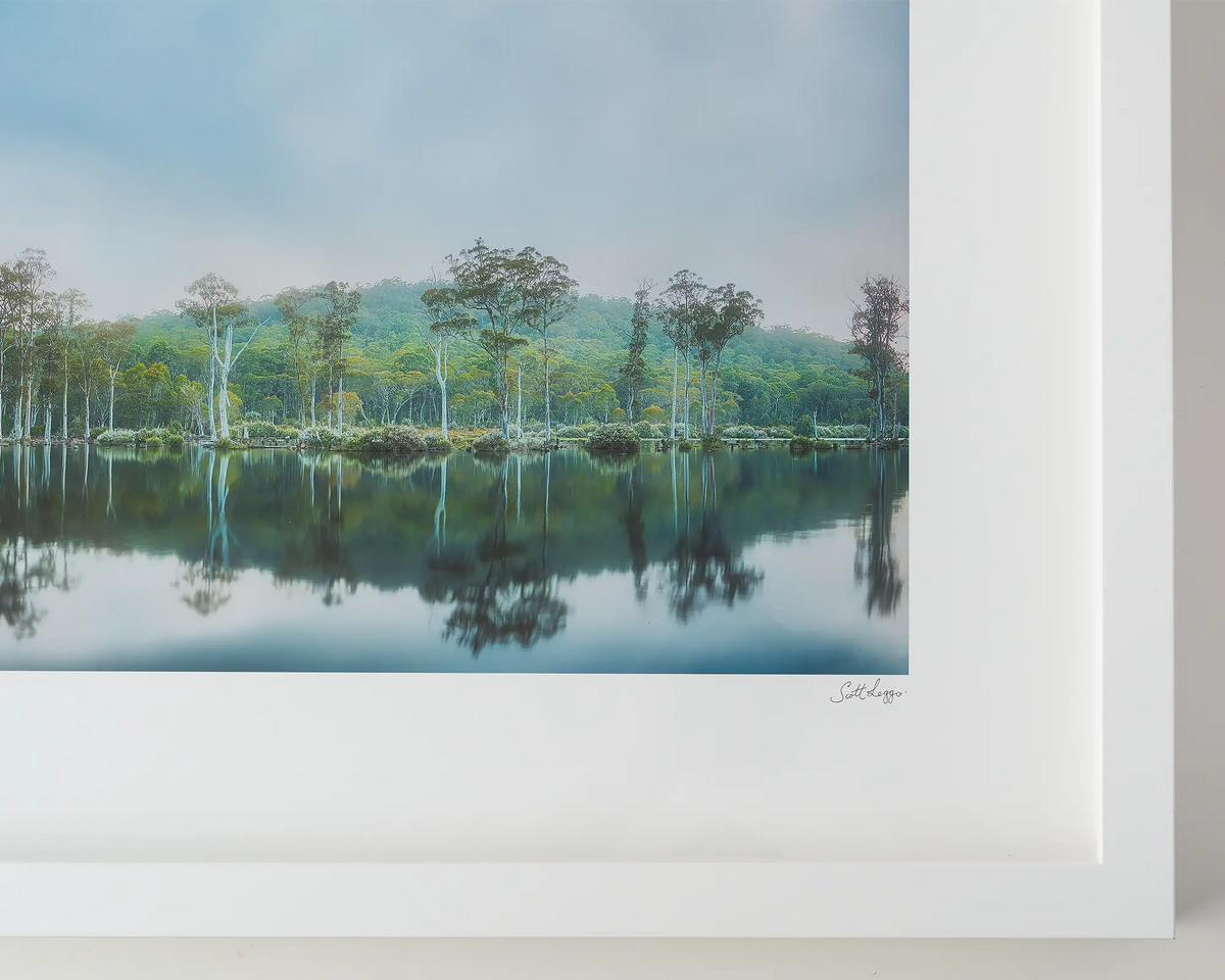 Still Standing. Fog rising over trees in Gordon Franklin wild Rivers Tasmania. Australia Wall with white frame.