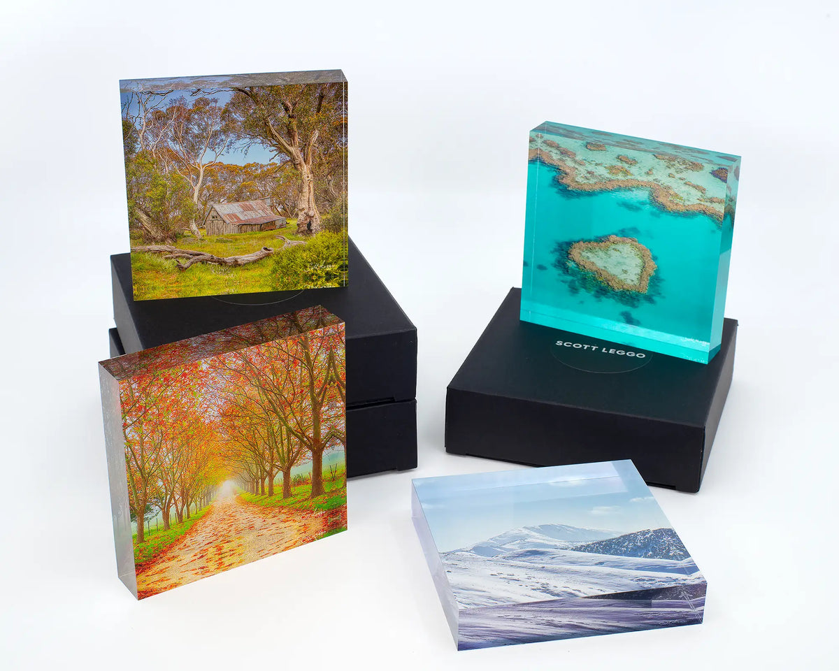 Summer in the High Country acrylic block displayed with other acrylic blocks. 