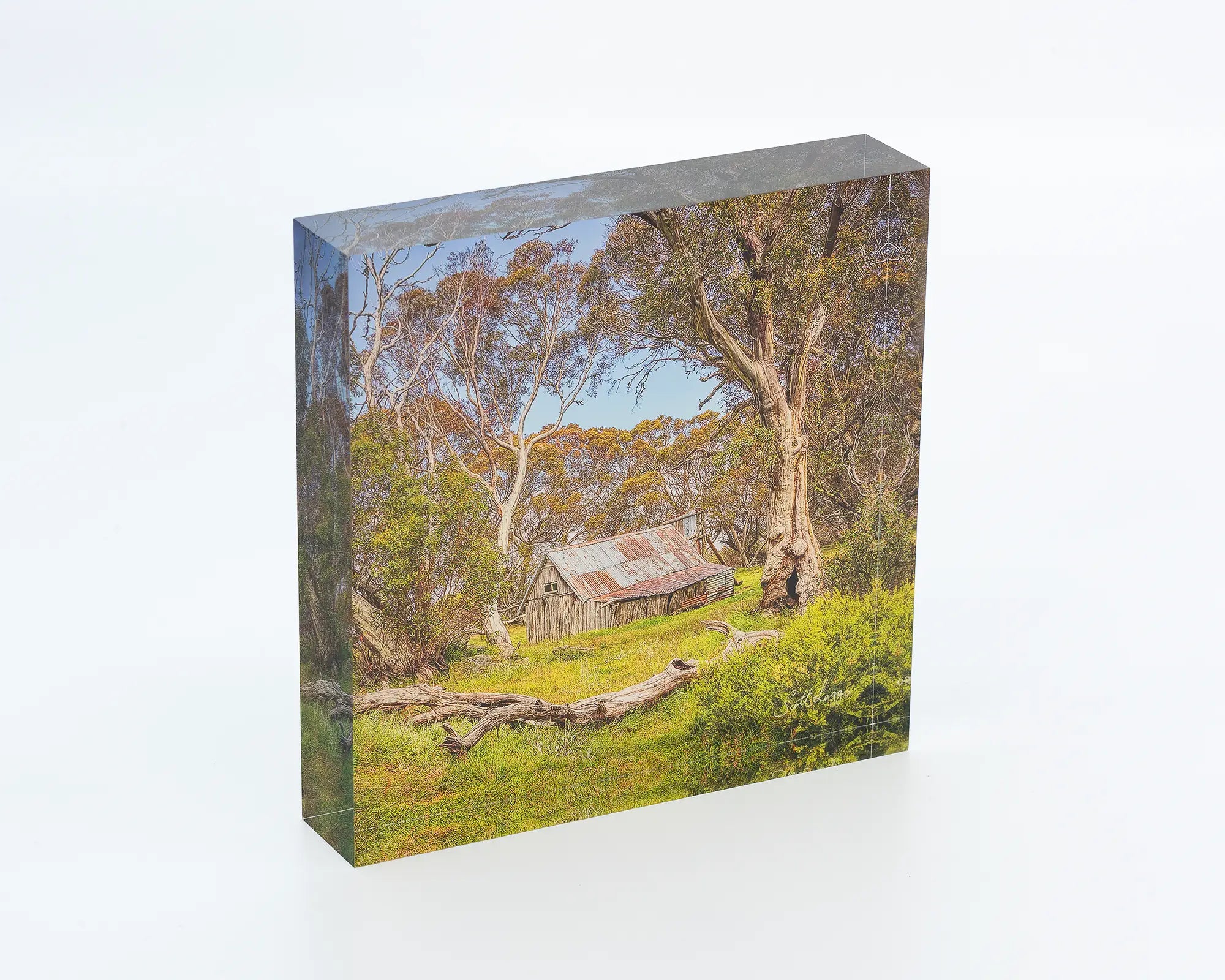 Summer in the High Country acrylic block - Wallace Hut and snow gum artwork. 