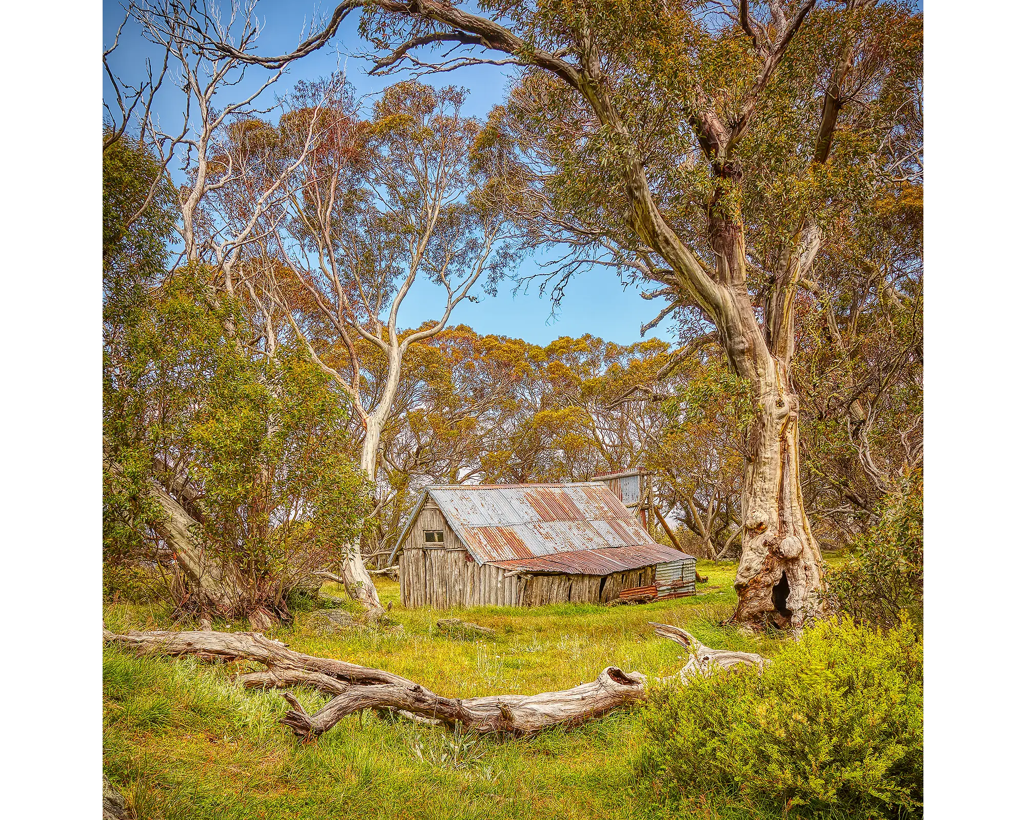 Summer in the High Country acrylic block - Wallace Hut and snow gum artwork. 