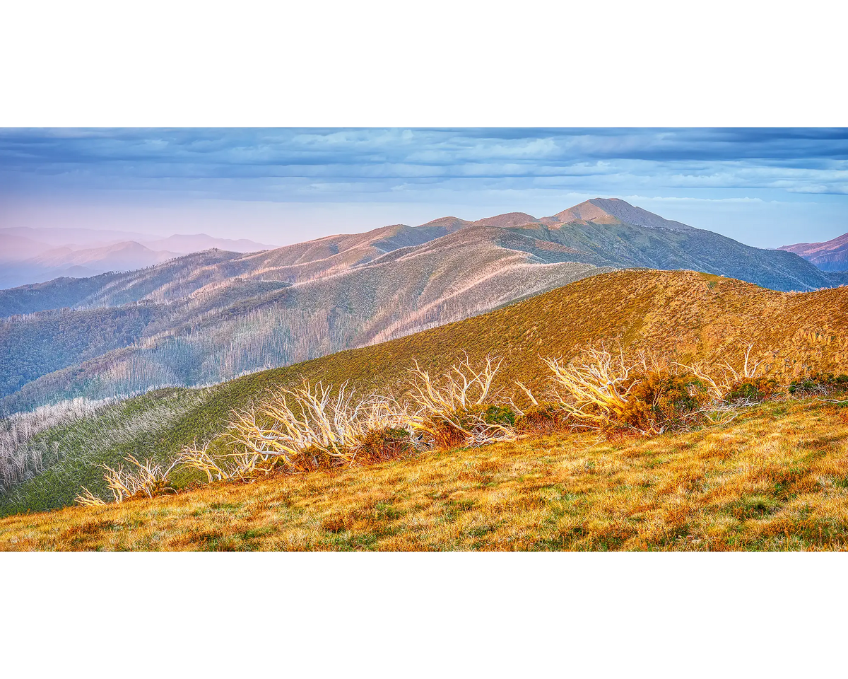 Summer Light. Sunset over Mount Feathertop and the Razorback, Alpine National Park, Victoria, Australia.