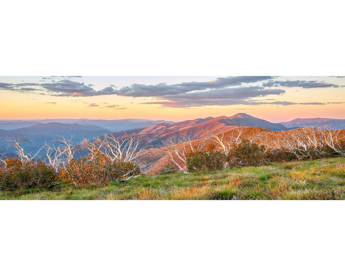 Summer Razorback. Sunset over mount feathertop in alpine National Park, Victoria.