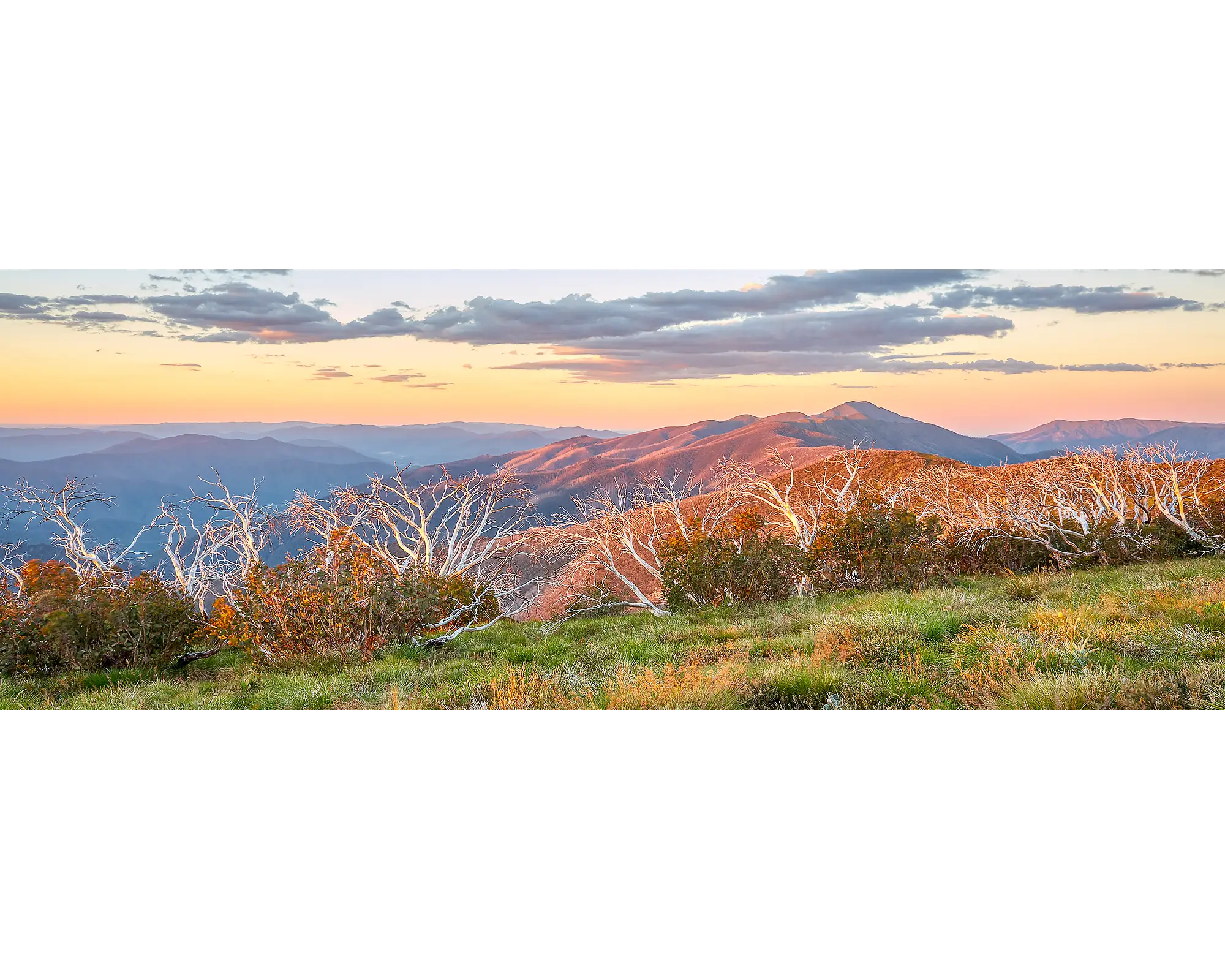 Summer Razorback. Sunset over mount feathertop in alpine National Park, Victoria.