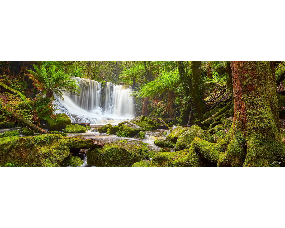 Tasmanian Escape 1000 piece jigsaw puzzle image. Horsehoe Falls.