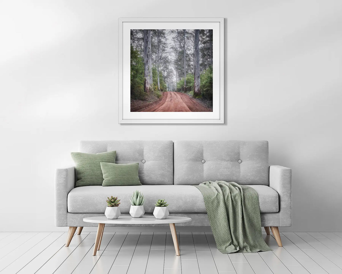 The Forest Beyond. Gum tree wall art above a couch. 