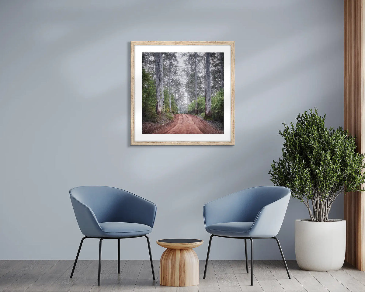 The Forest Beyond. Karri forest wall art print, with a timber frame, in a sitting room. 