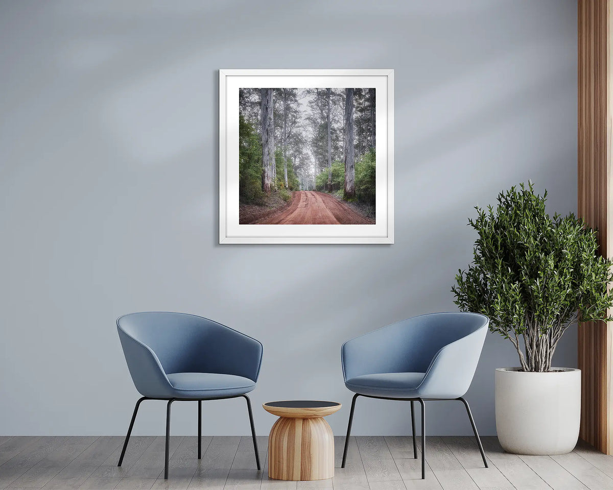 The Forest Beyond. Karri forest wall art print, with a white frame, in a sitting room. 