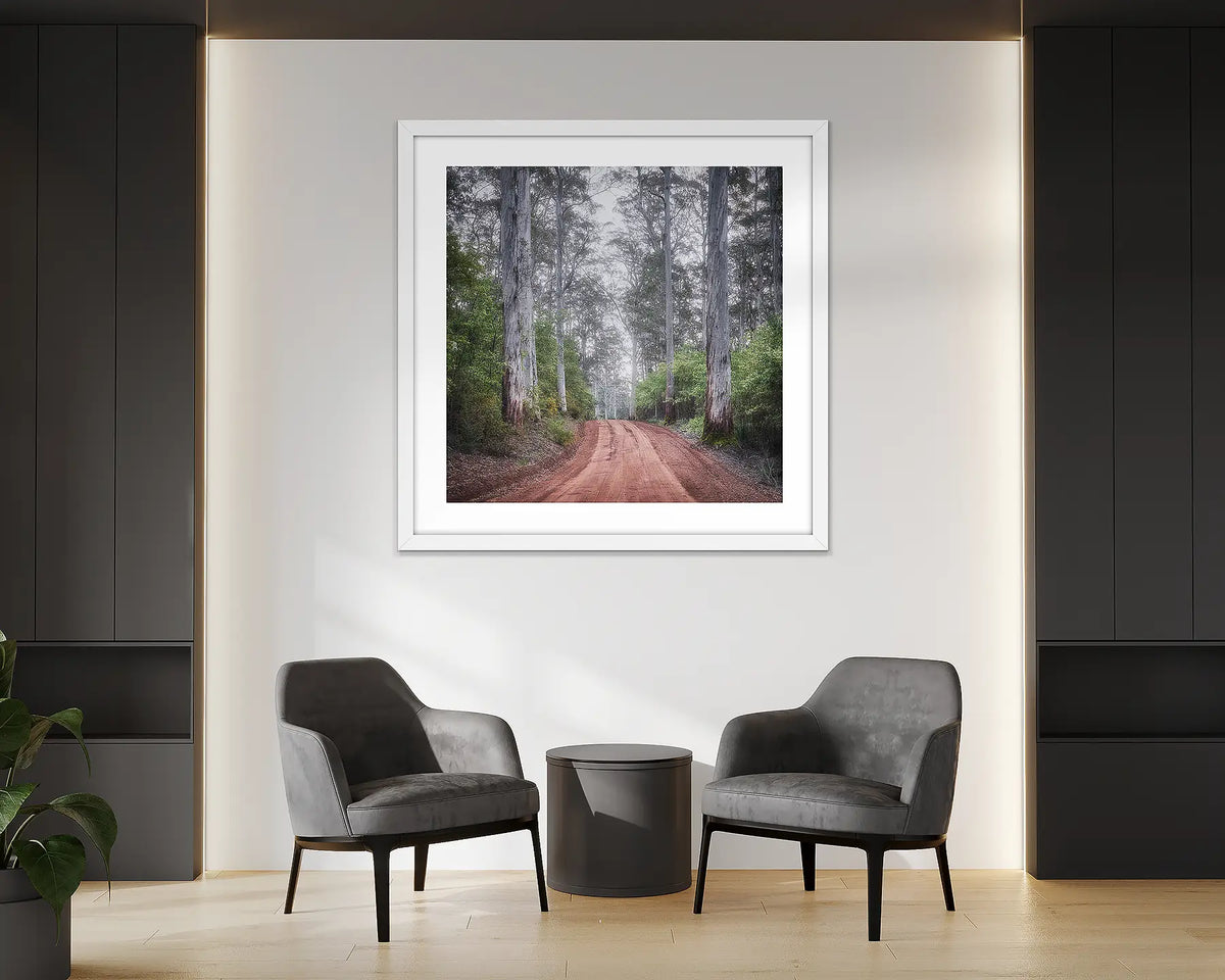 The Forest Beyond. Western Australia wall art in an office reception. 