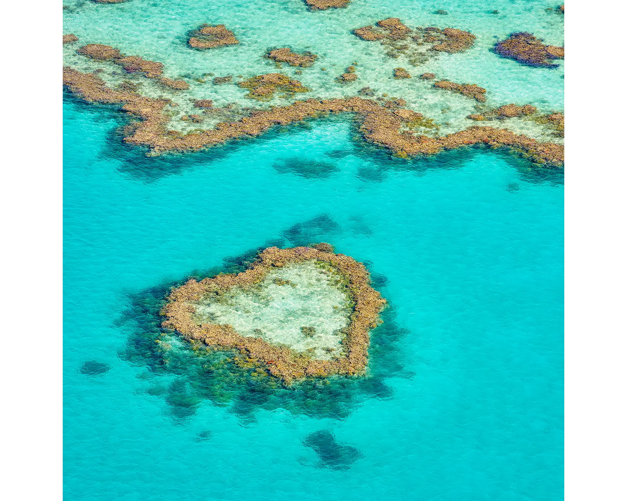 The Heart. Acrylic block of a heart shape in the Great Barrier Reef, Queensland artwork.