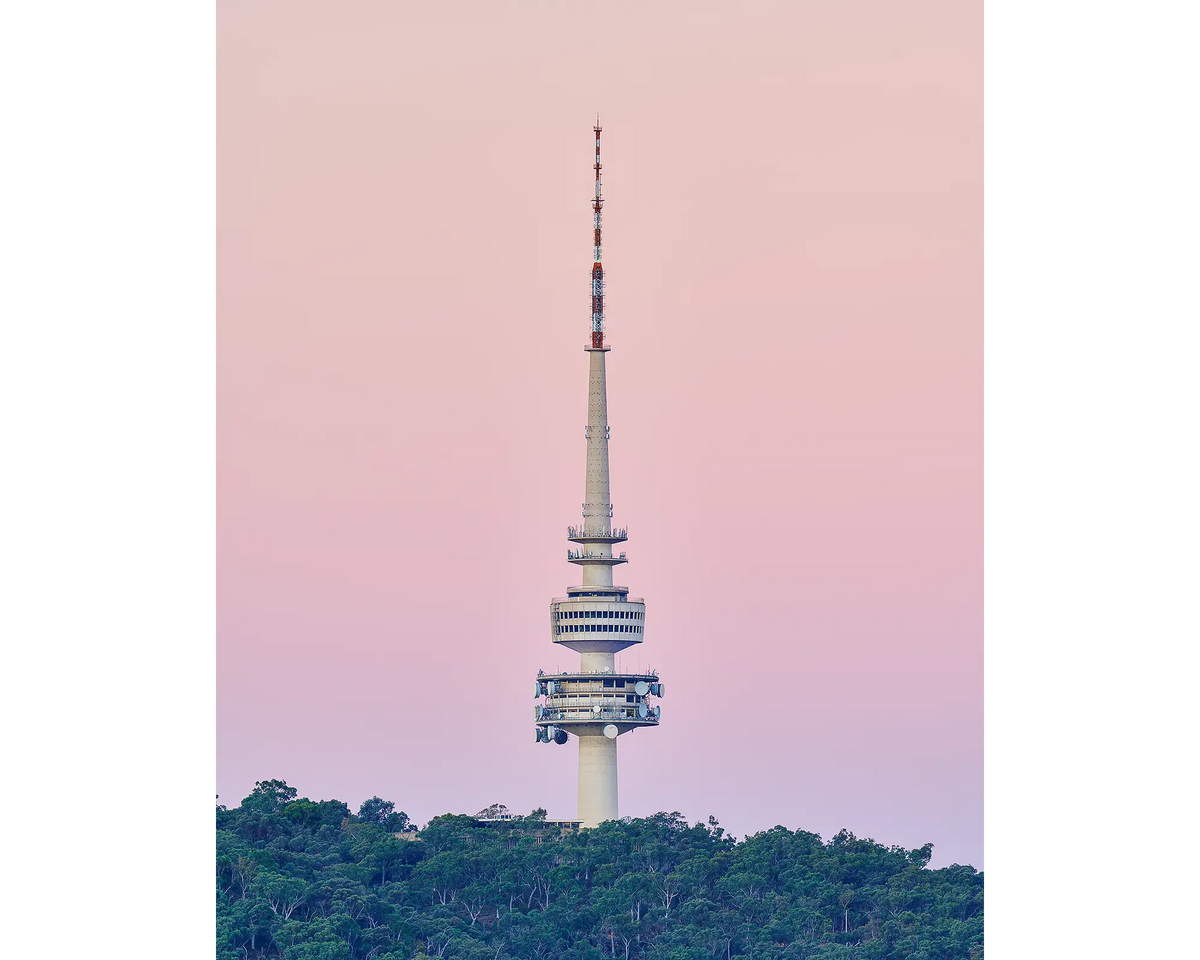 Telstra Tower, Black Mountain, Canberra, with pink sunset.