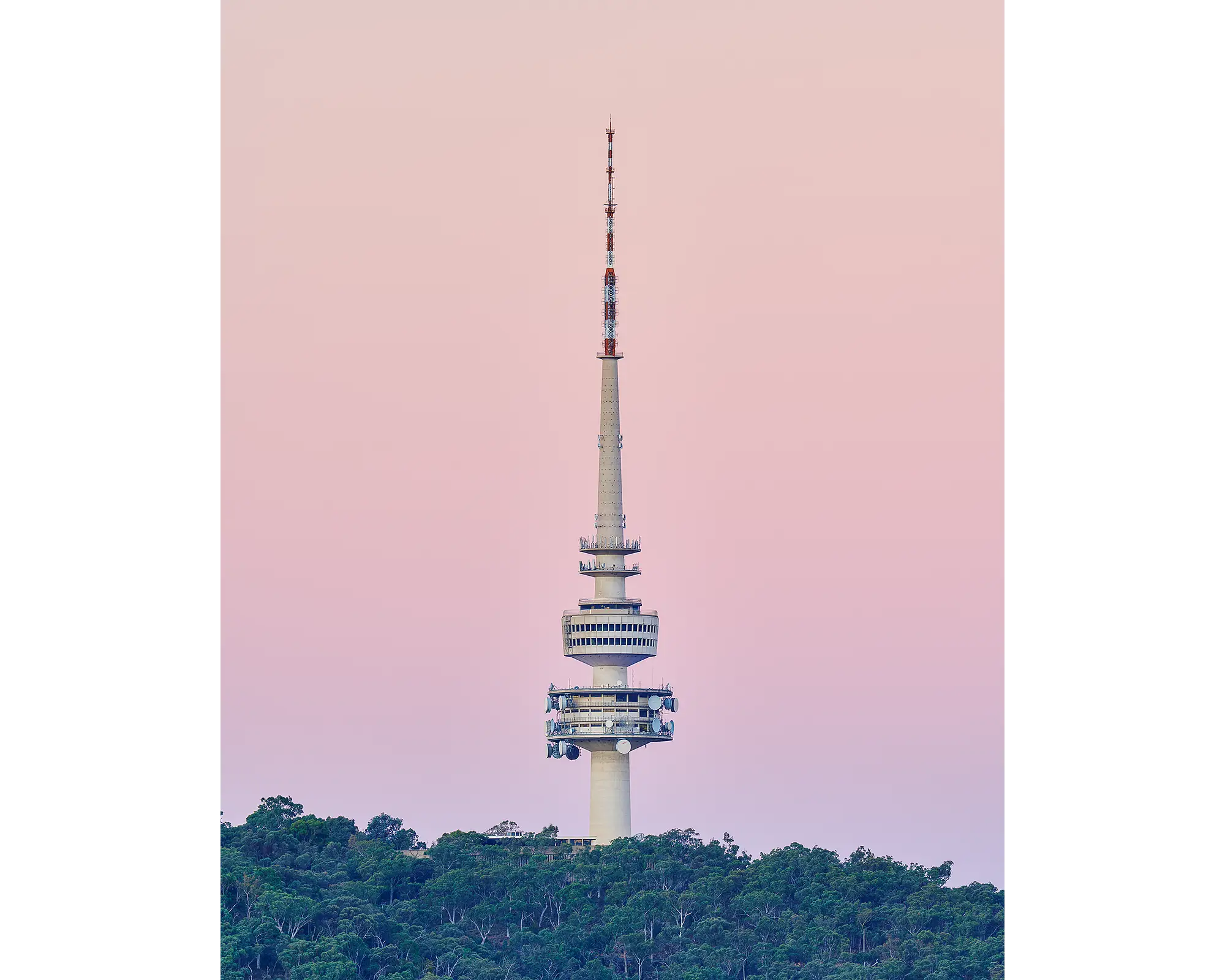 Telstra Tower, Black Mountain, Canberra, with pink sunset.