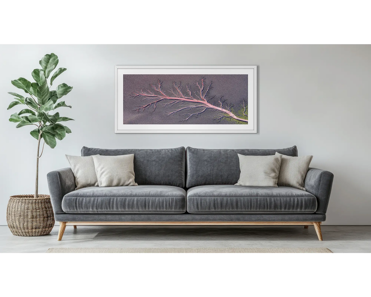 The Root. Western Australia, framed wall art, hanging above a couch. 