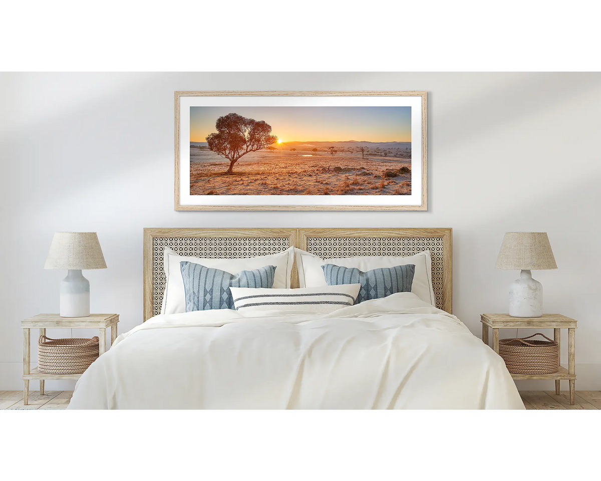 Touching the Sun. Googong gum tree wall art print, with a timber frame and hung above a bed. 