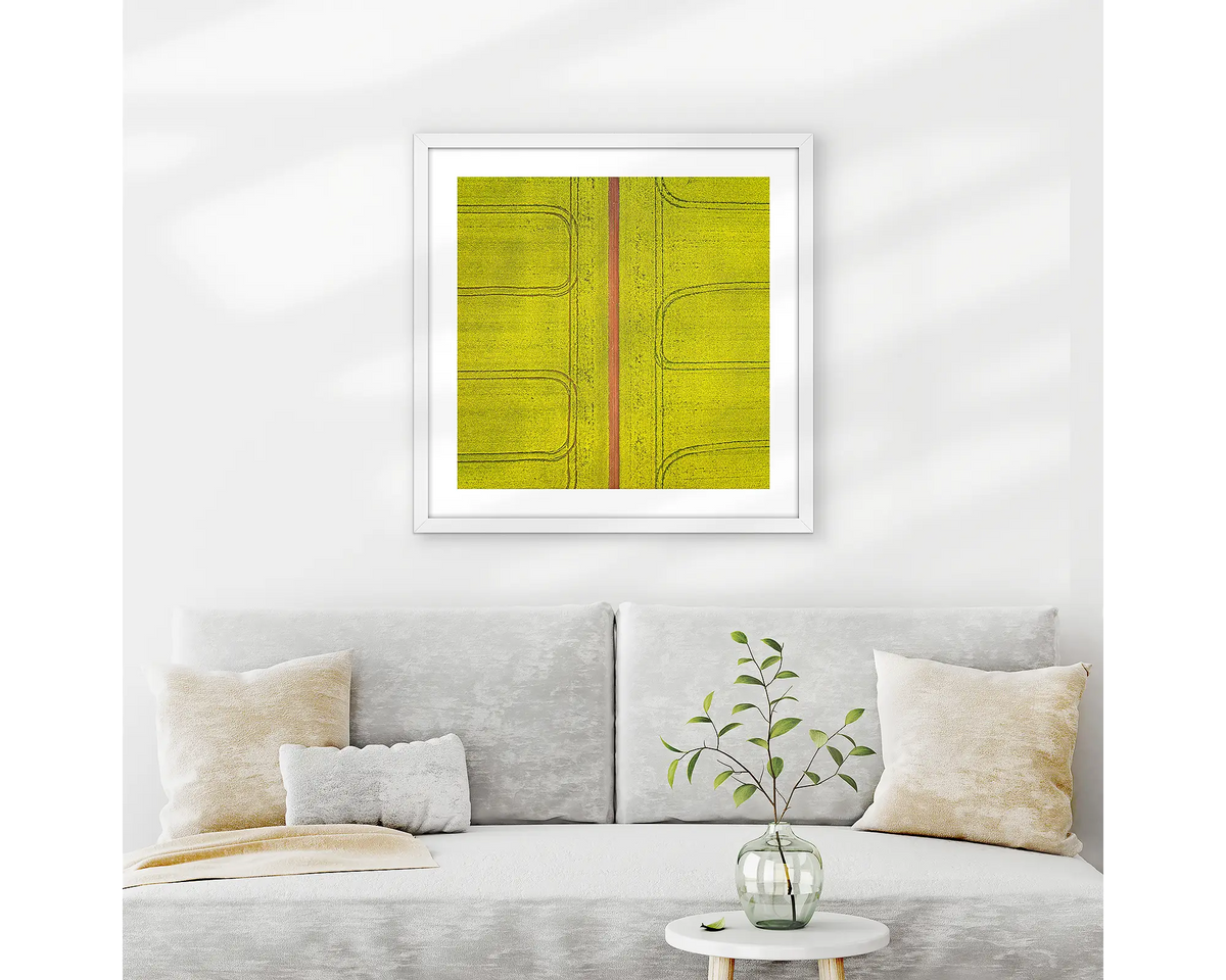 Tracks. Canola field wall art print with white frame hung above couch.