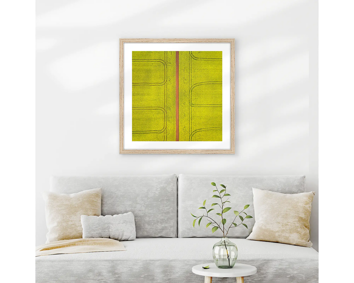 Tracks. Canola field wall art print with wood frame hung above couch.