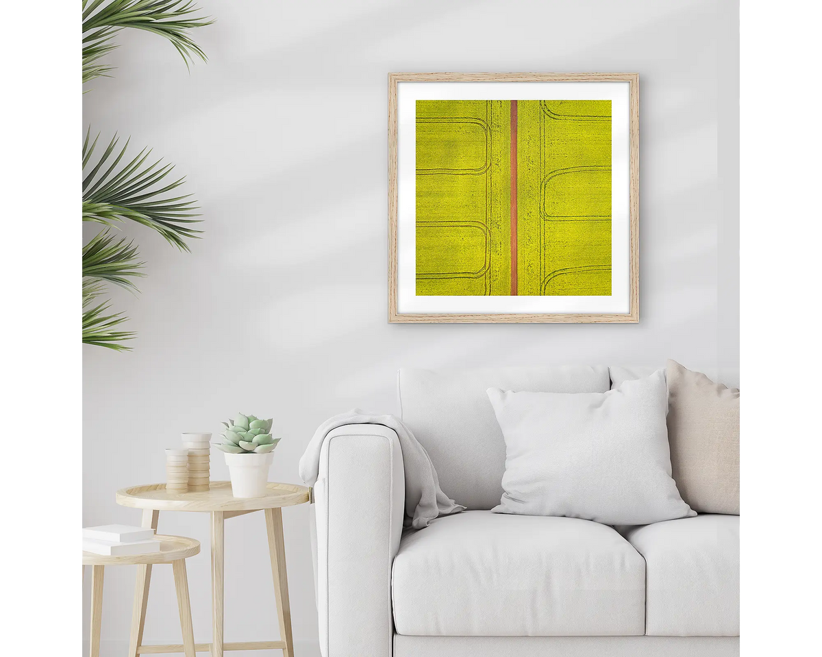 Tracks. Canola wall art print, with a timber frame, hung above a couch.