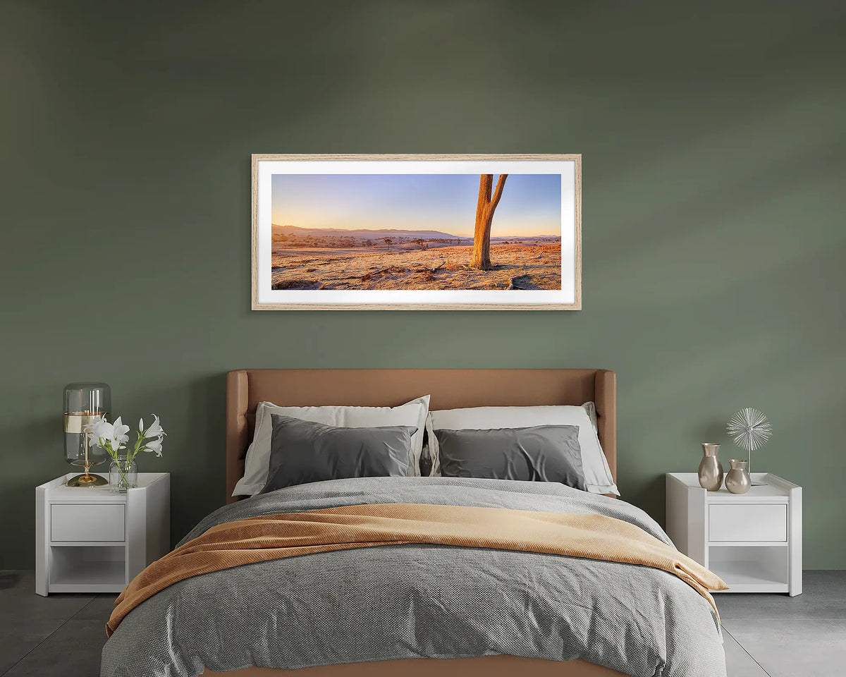 Transition. Googong tree wall art print, with a timber frame, above a bed. 