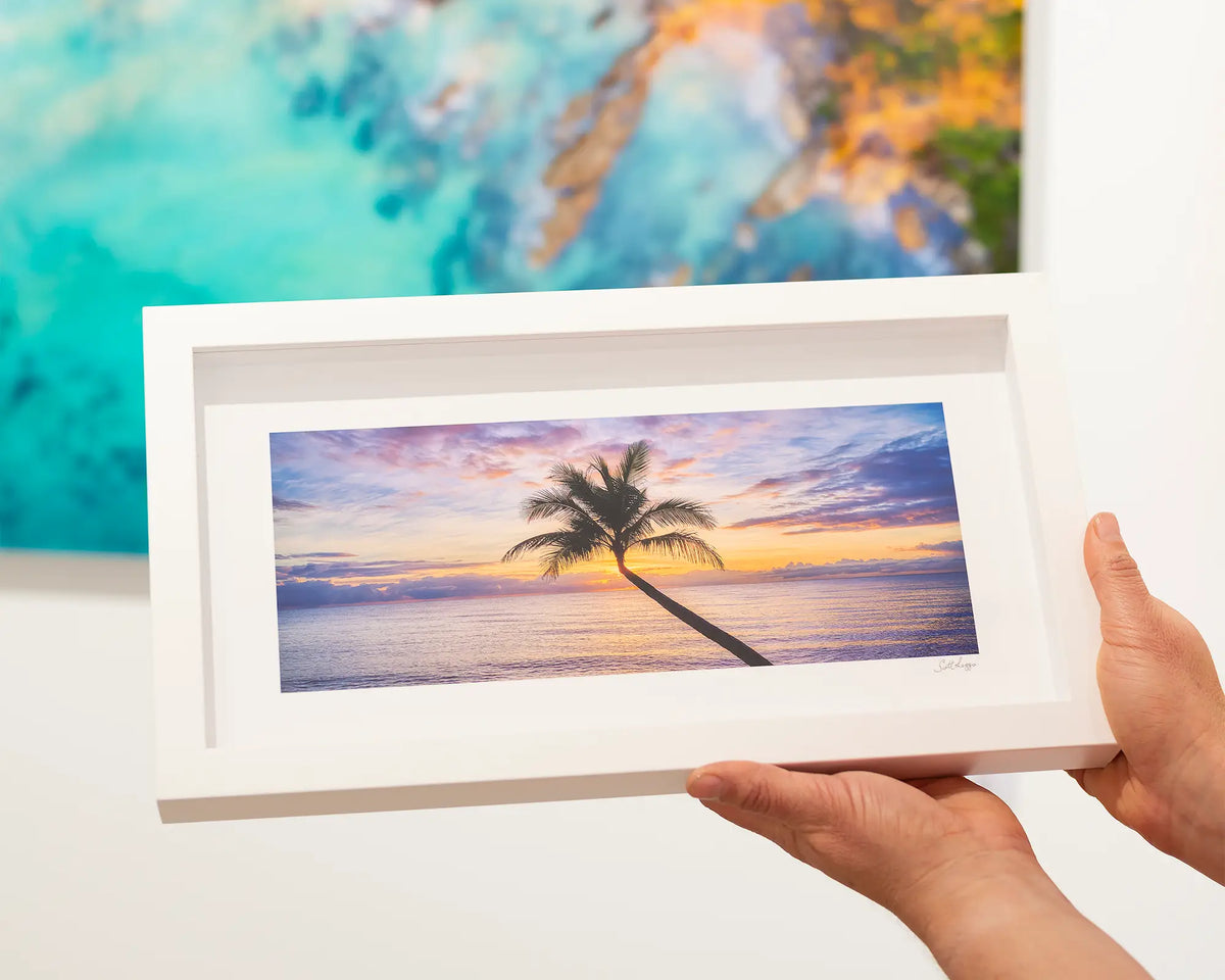 Tropical Icon. Ocean,sun and palm, framed print with a white frame.