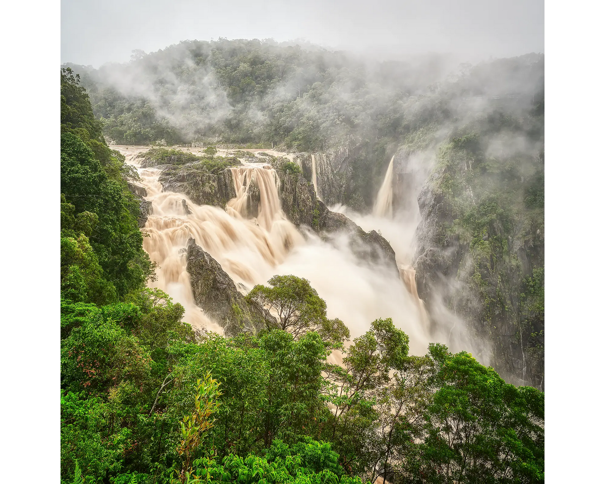 Downpour of rain flowing through Barron Falls with surrounding rainforest shrouded in mist, Barron Gorge National Park, Queensland. 