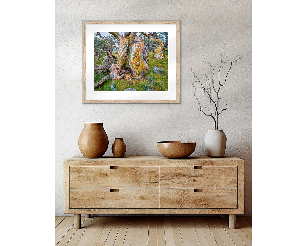 Twisted Beauty. Snow gum wall art in a Tasmanian Oak frame, hanging above a side table.