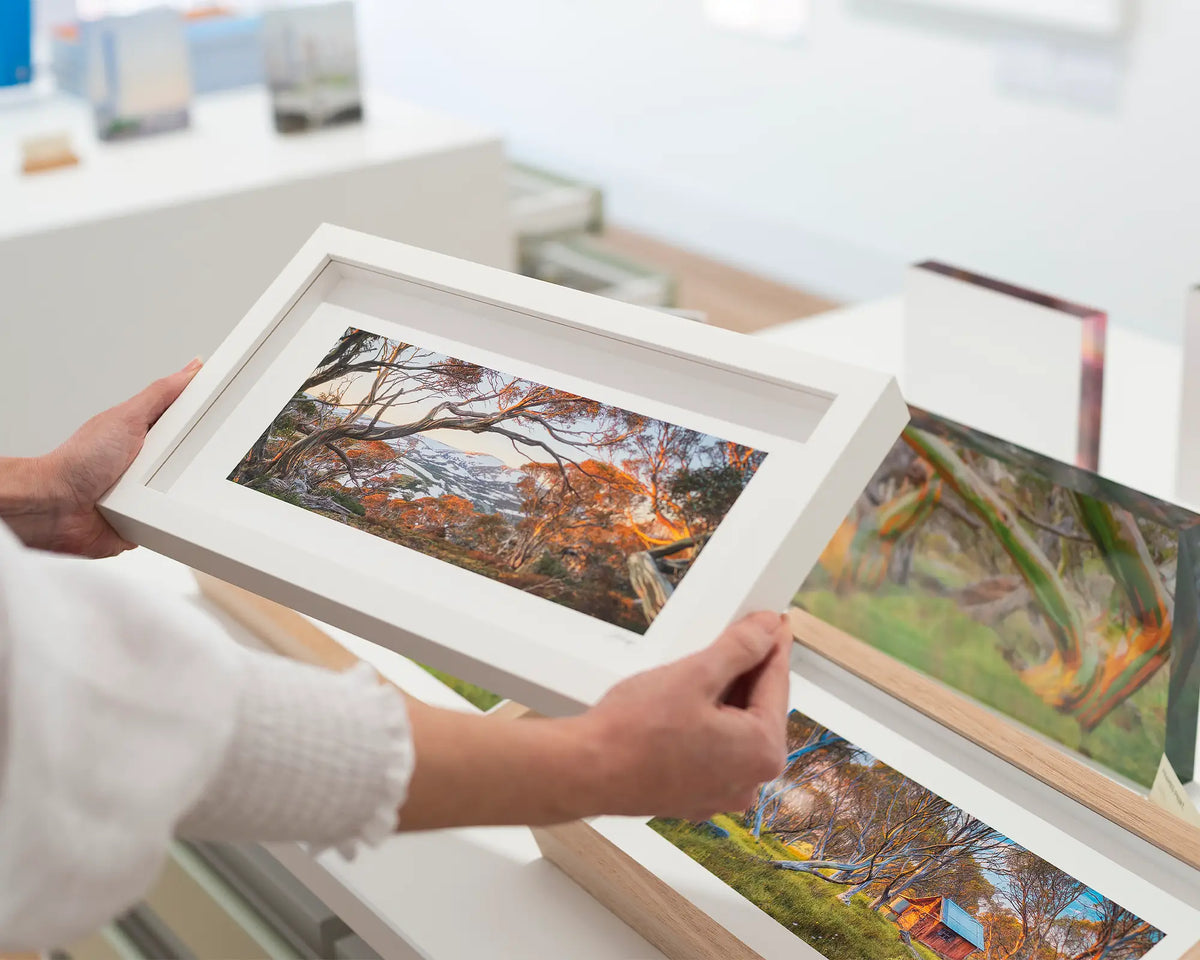 Twynam&#39;s View. Alpine gums, small frame print with a white frame in front of other pieces.