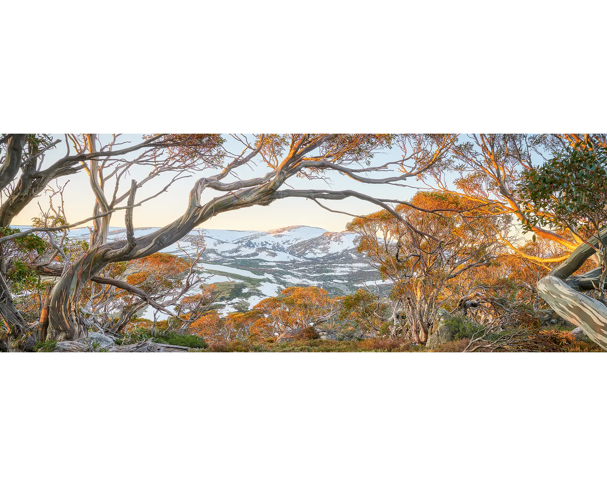 Snow on Mount Twynam, Kosciuszko National Park, NSW. 