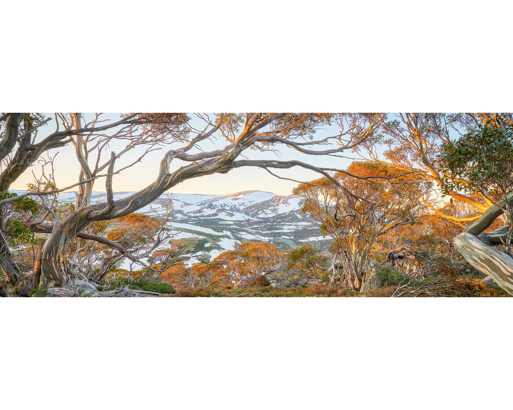 Snow on Mount Twynam, Kosciuszko National Park, NSW. 