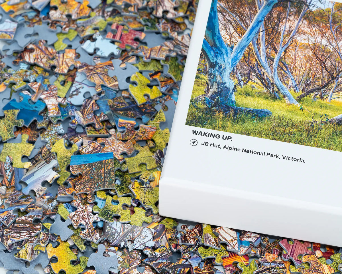 Waking up. 1000 piece jigsaw puzzle. Box with pieces.