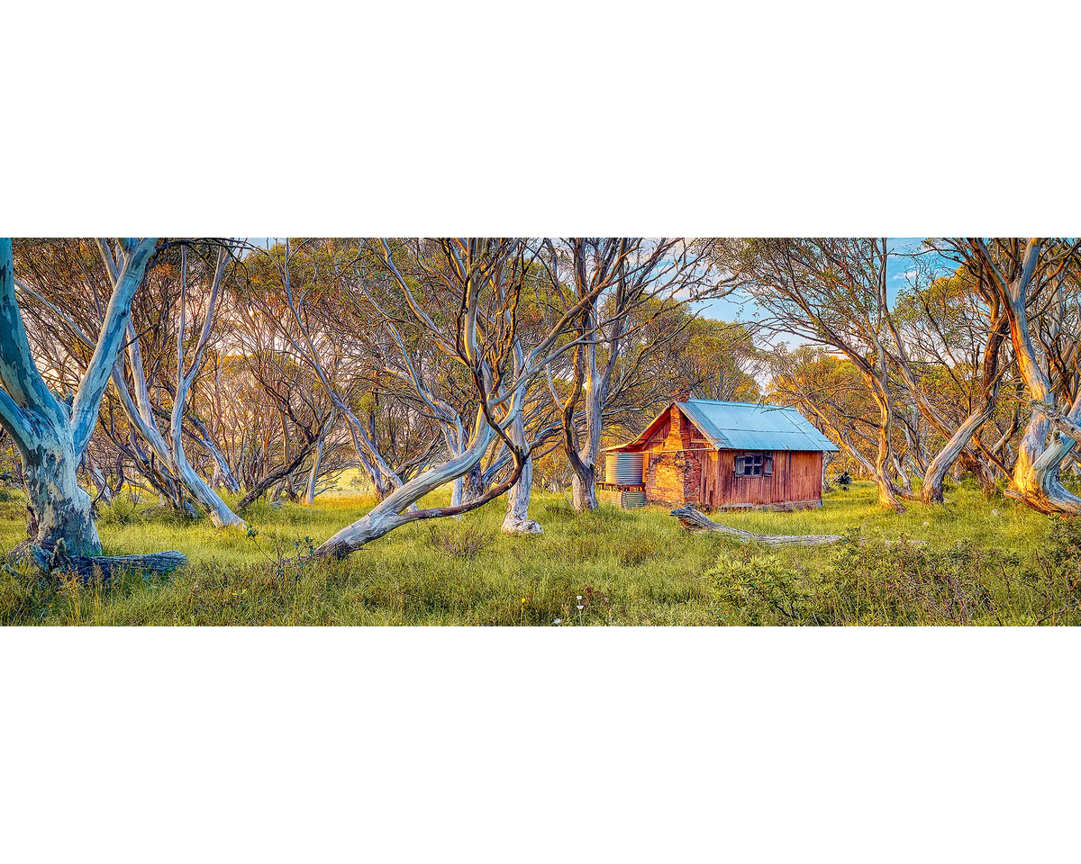 Sunrise light on snow gums and JB Hut in Alpine National Park, Victoria. 