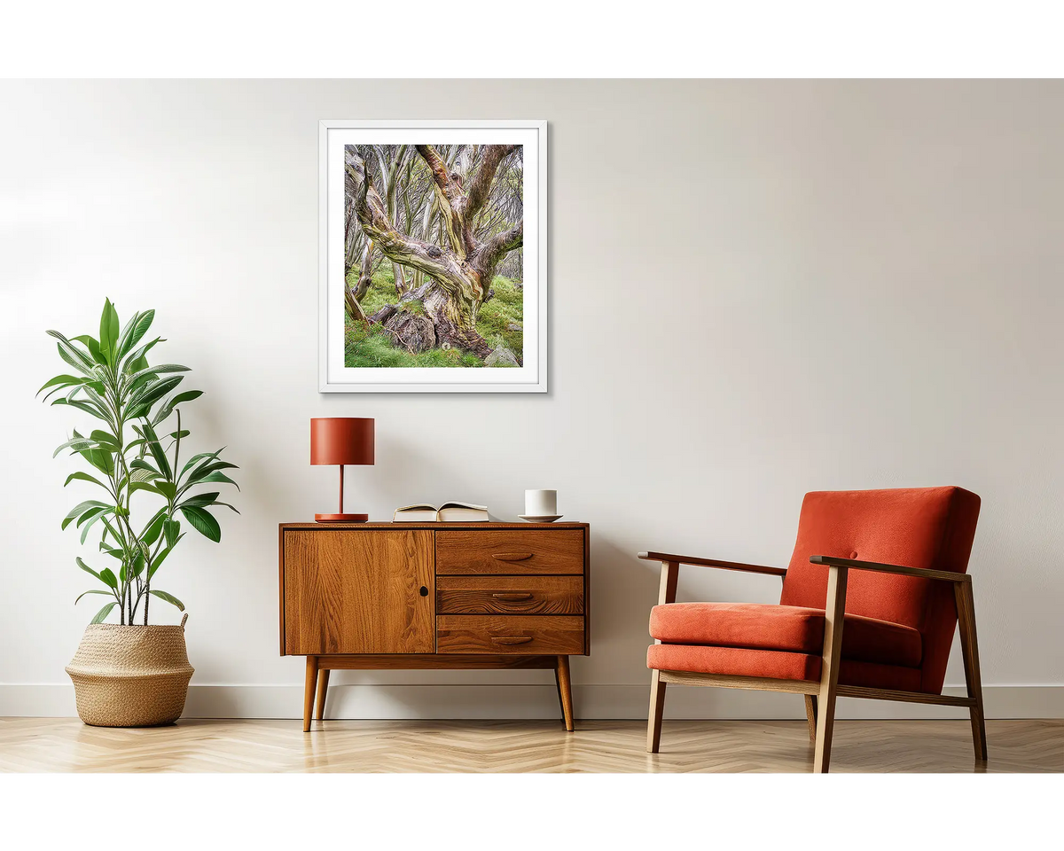 Weathered. Snow gum artwork, in a white frame, above a side table. 