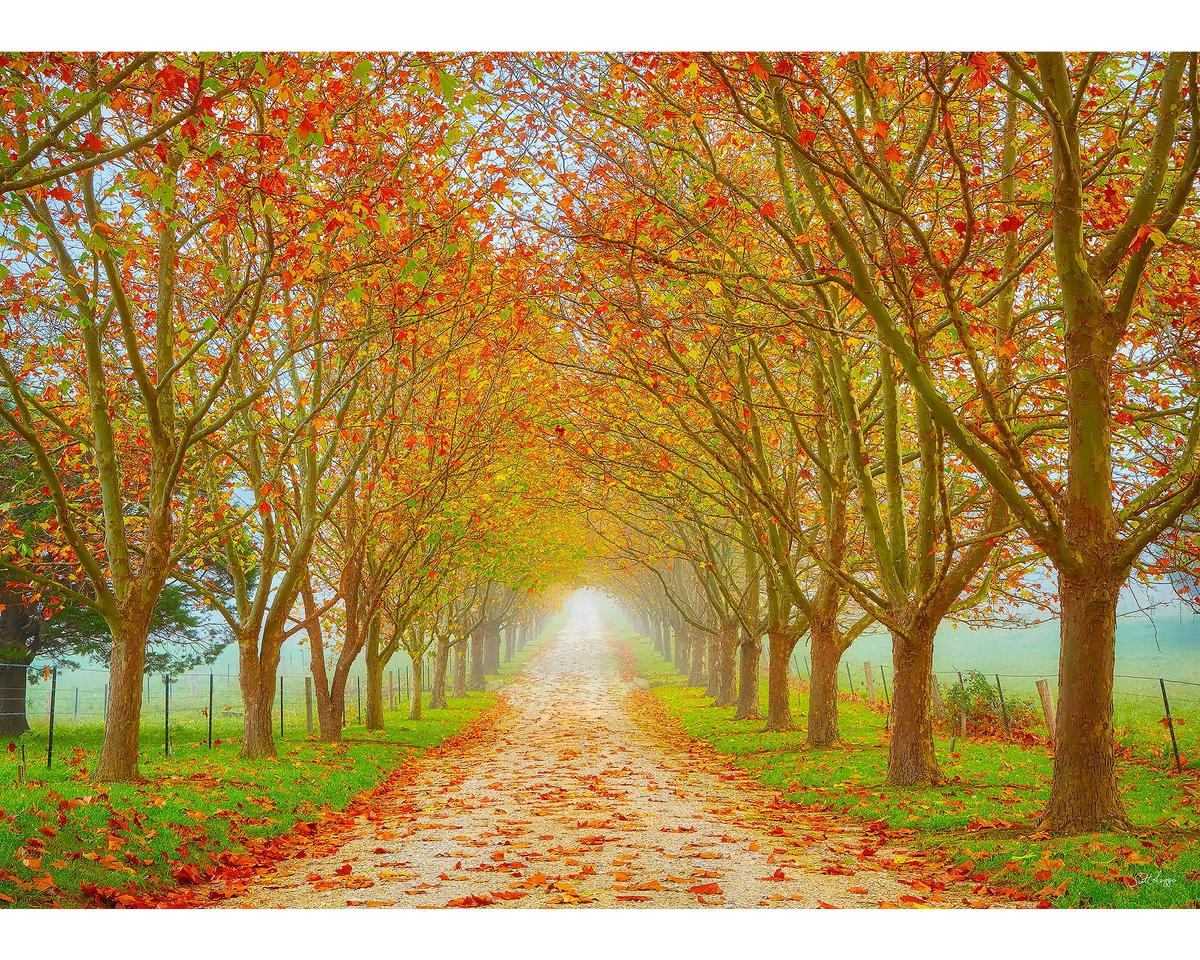 Welcome to Autumn. 1000 piece jigsaw puzzle reference image.