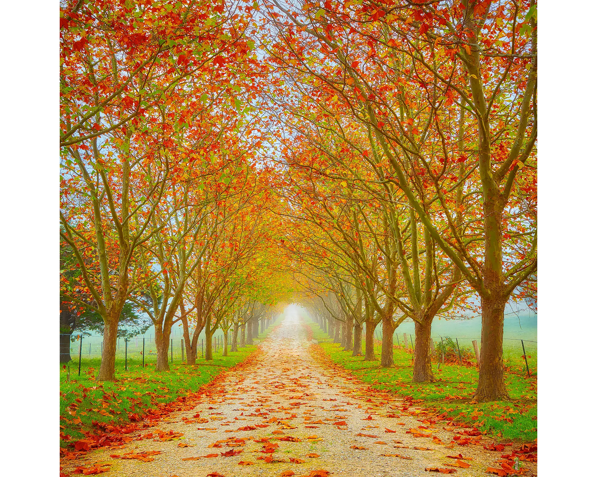 Welcome To Autumn - Driveway with autumn leaves in fog - Acrylic Block.