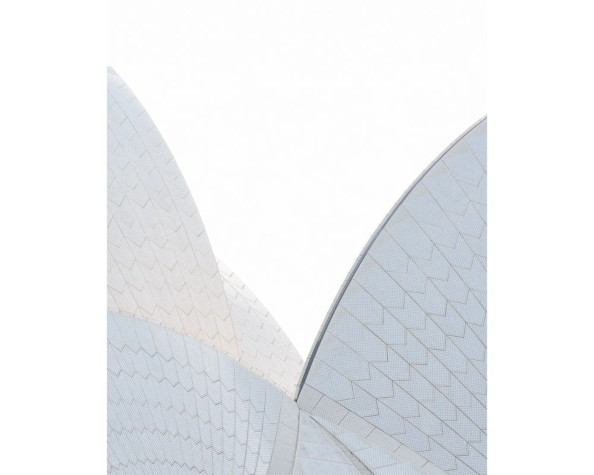 Abstract patterns of Sydney Opera House shells.