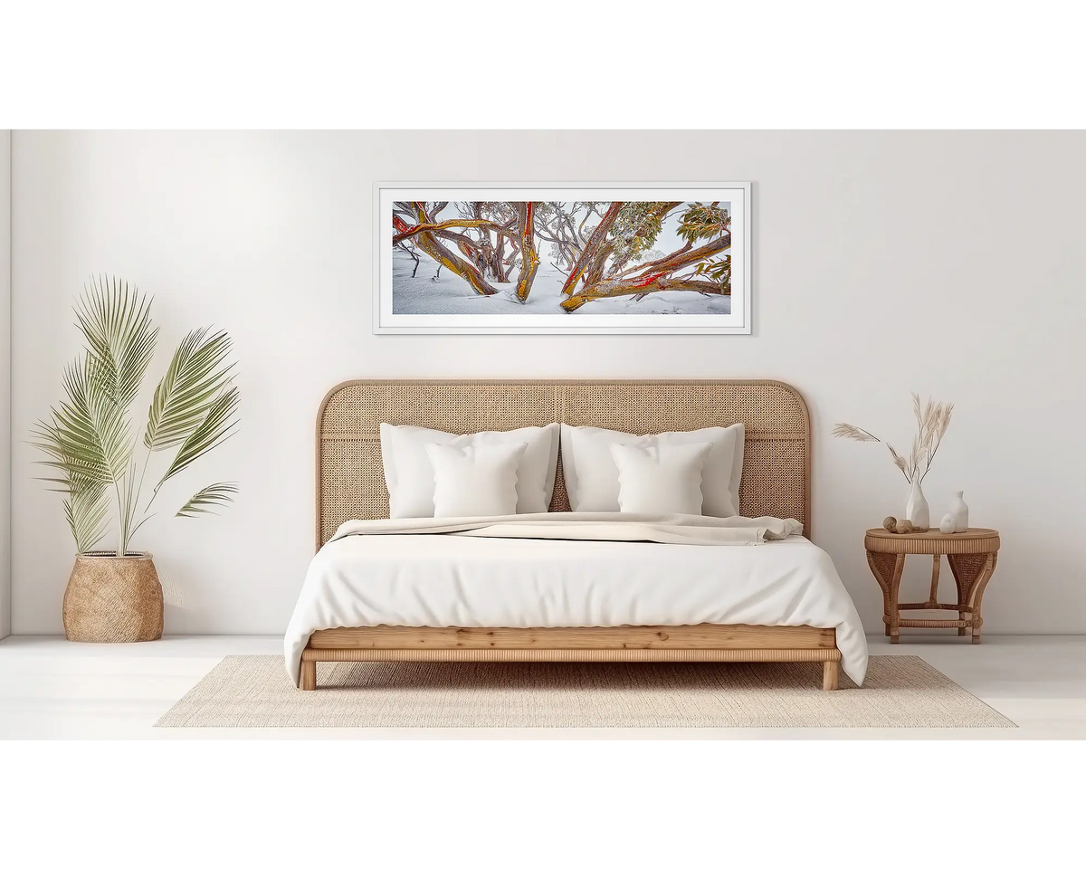 Wild. Snow gum wall art, in a white frame, on a bedroom wall. 