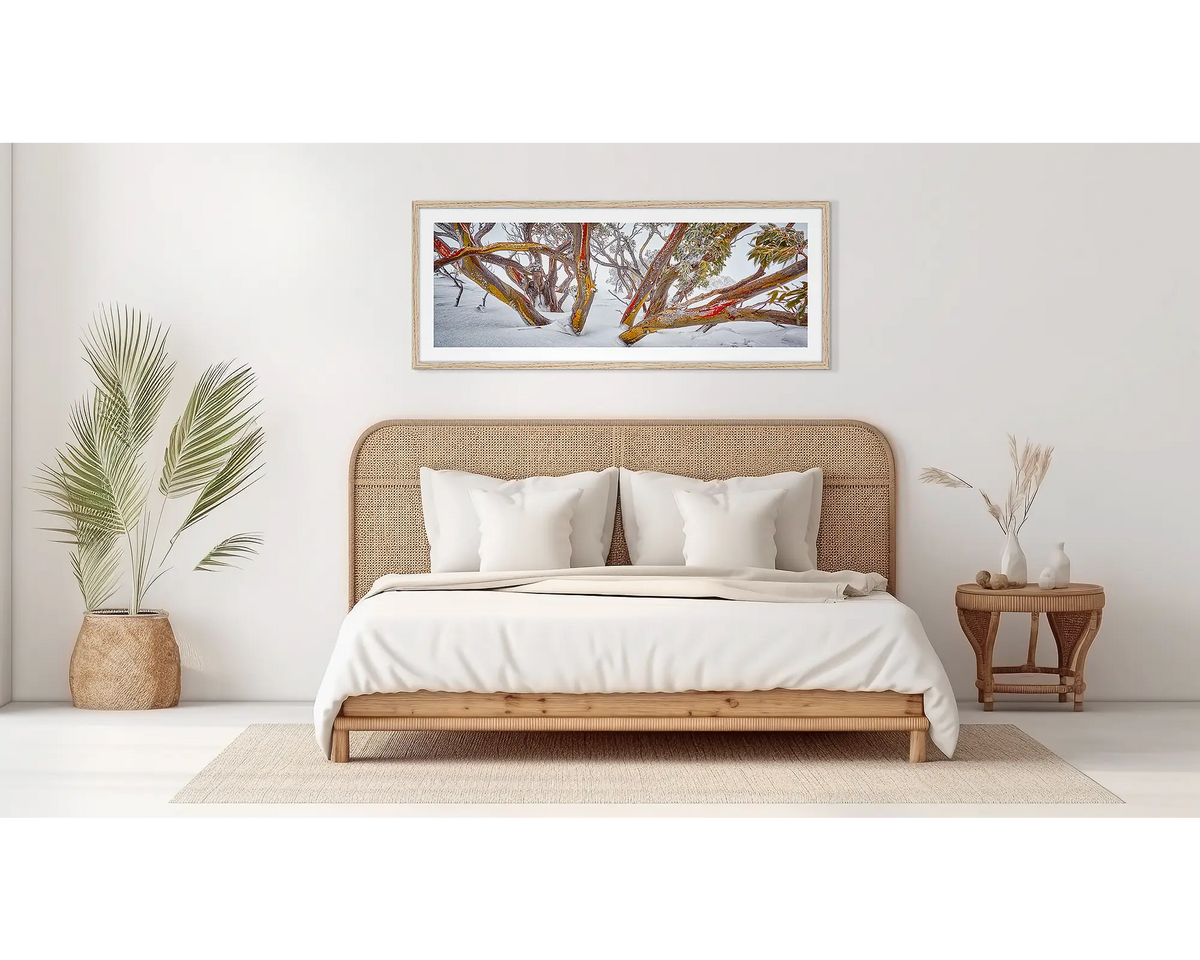 Wild. Snow gum wall art, in a wood frame. on a bedroom wall. 