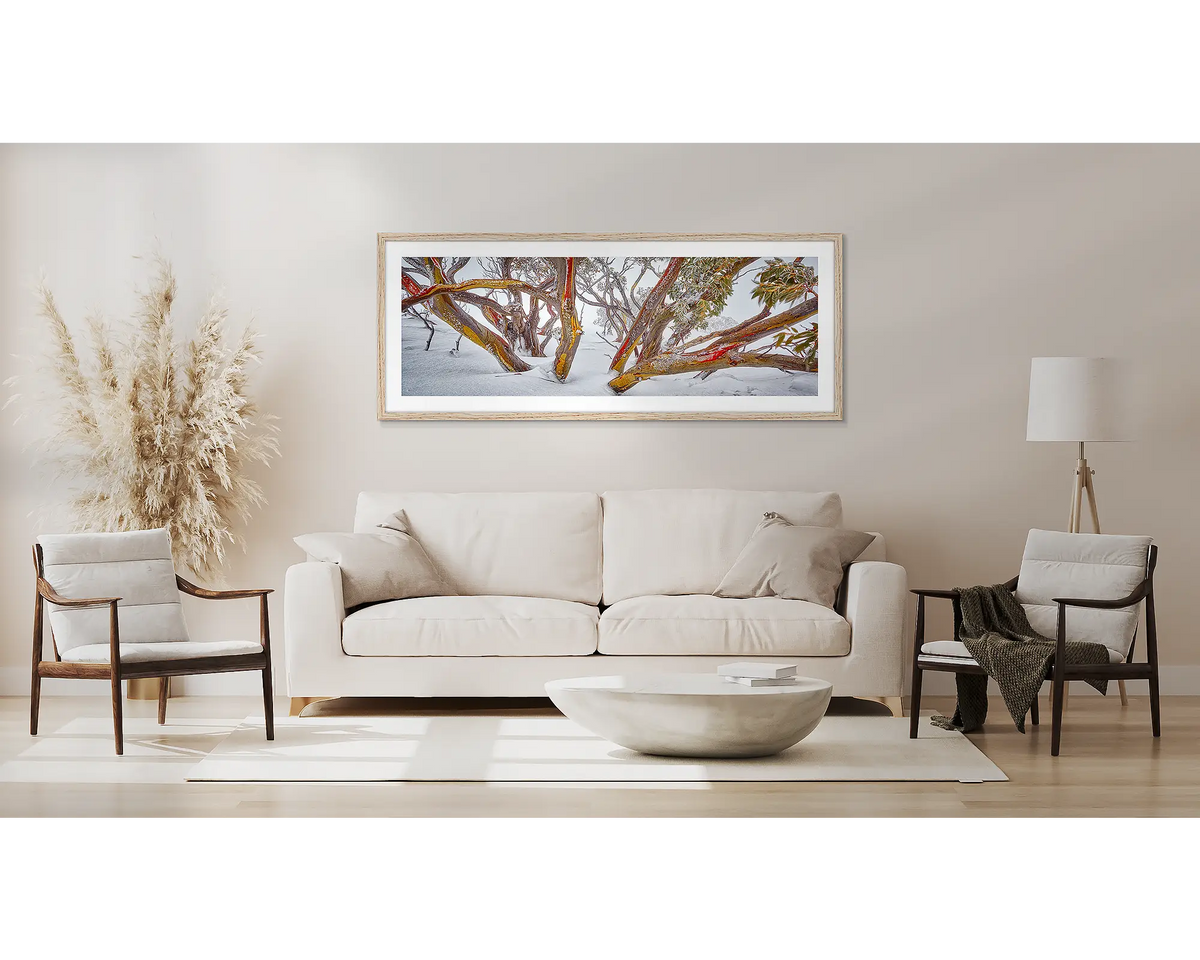 Wild. Snow gum wall art, in a Tasmanian Oak frame, in a lounge room. 