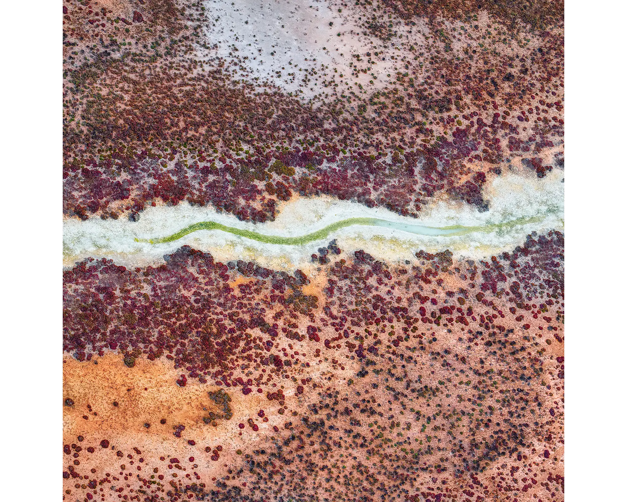 Aerial view of colourful purple and orange patterns in Roebuck Plains, the Kimberley, WA. 