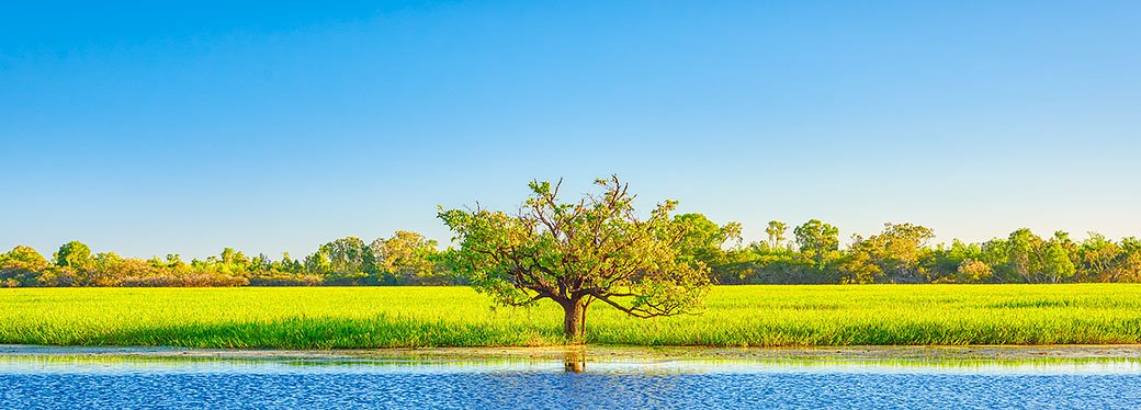 Outlier - Yellow Water (Ngurrungurrudjba) Wetlands, Kakadu National Park, Northern Territory, Australia